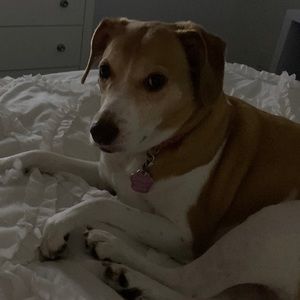 Meet your Posher, Catherine